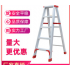 Aluminum ladder