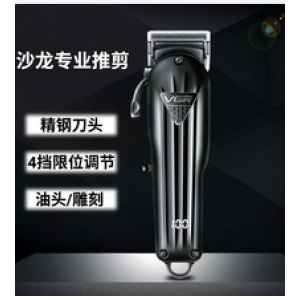 Electric hair clippers