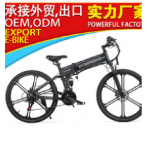 electric bicycle